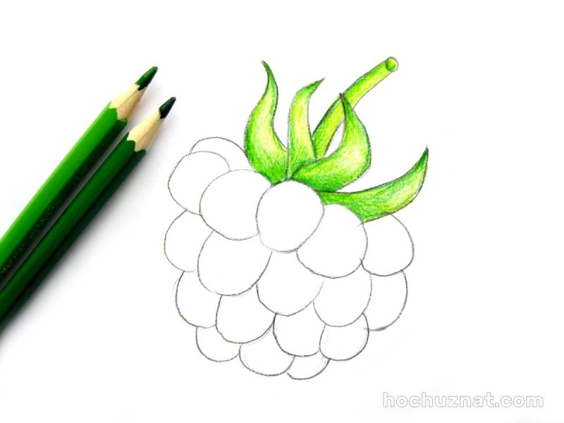Рисунок малины для срисовки