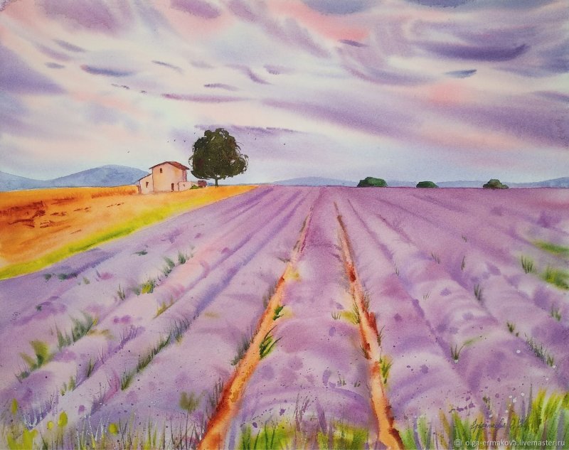 лавандовое поле картина
