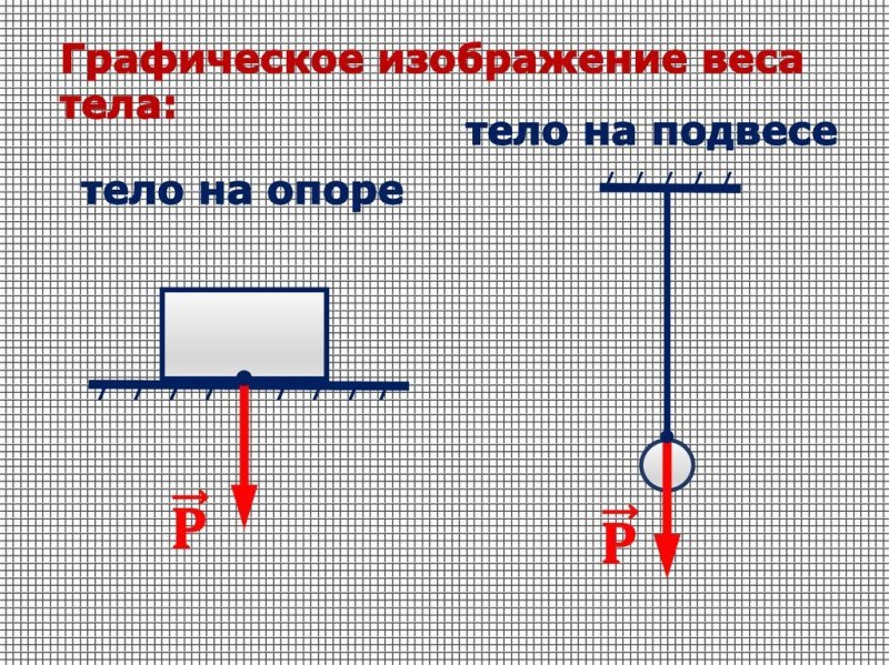 сила веса тела рисунок