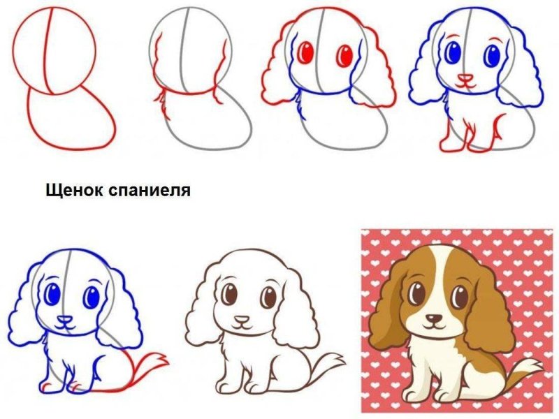 Рисунки для срисовки собачки