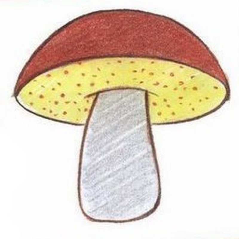 Рисование грибы