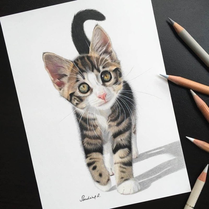 Кошка рисунок фломастером