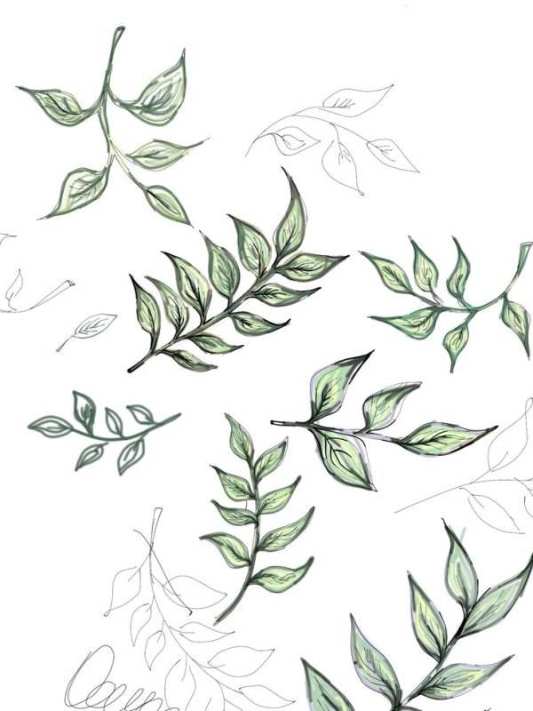 листья эскиз