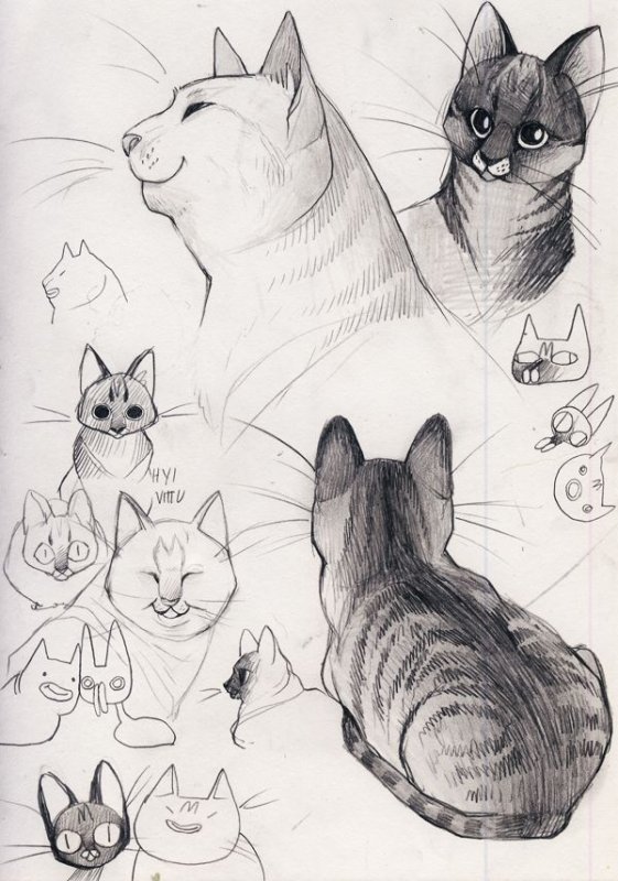 Кошка рисунок