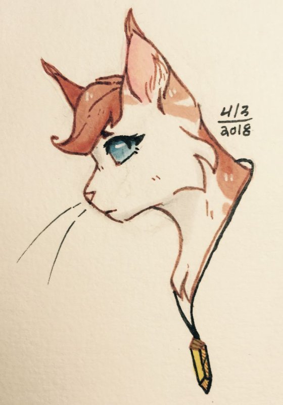 Коты рисунки для срисовки