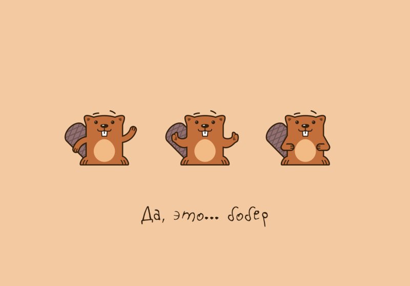 Обои с бобром