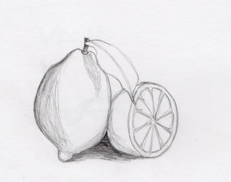Рисунки карандашом для срисовки фрукты