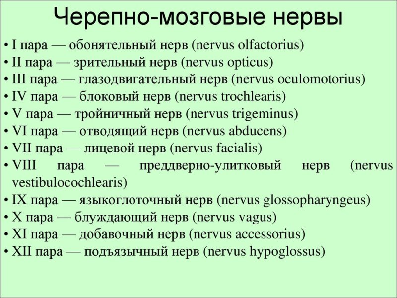 12 Пар черепно мозговых нервов таблица неврология