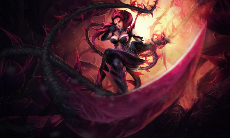 Зайра Сплеш арт