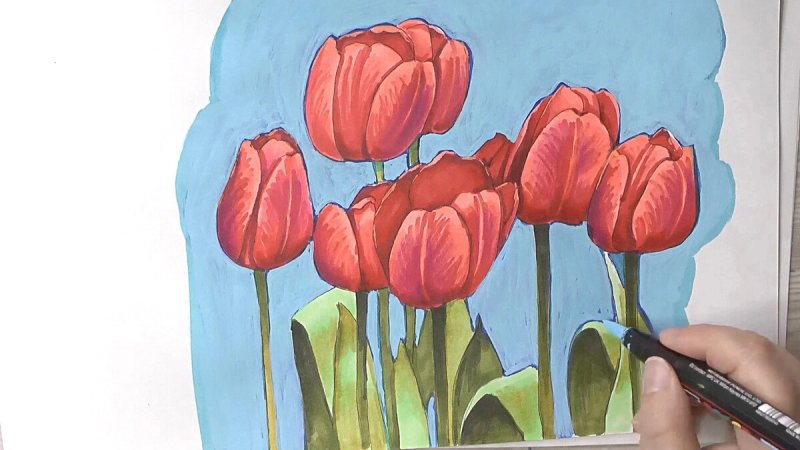 Тюльпаны рисунок маркерами