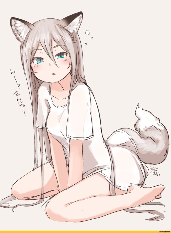 Кошкодевочки референс