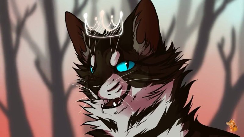 Коты Воители Звездоцап