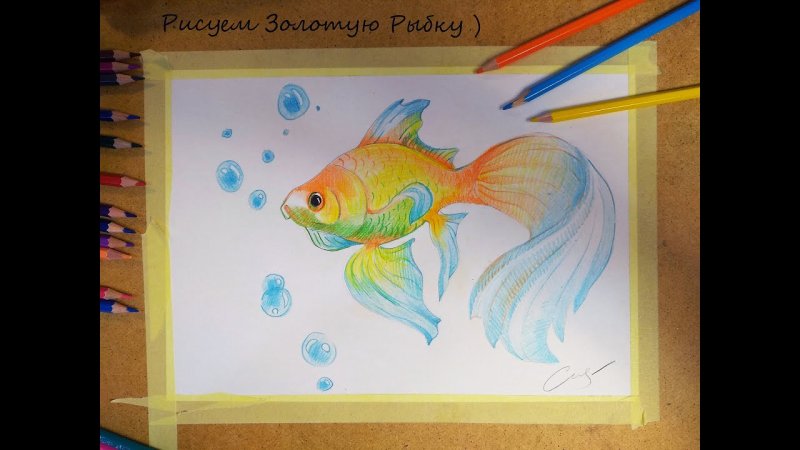 Золотая рыбка цветными карандашами