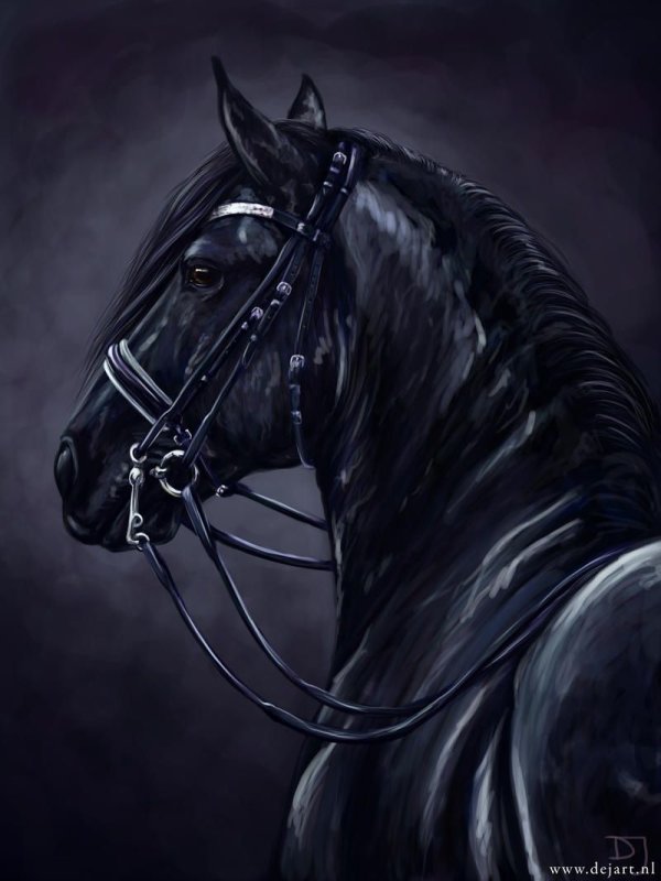Черный конь арт