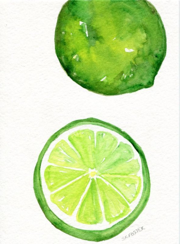 дольки фруктов акварелью