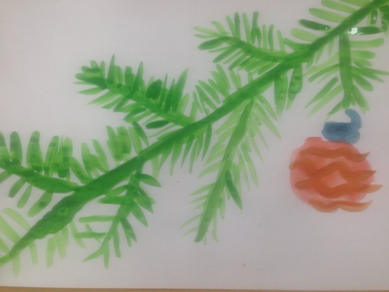 Рисование Еловая ветка в старшей группе