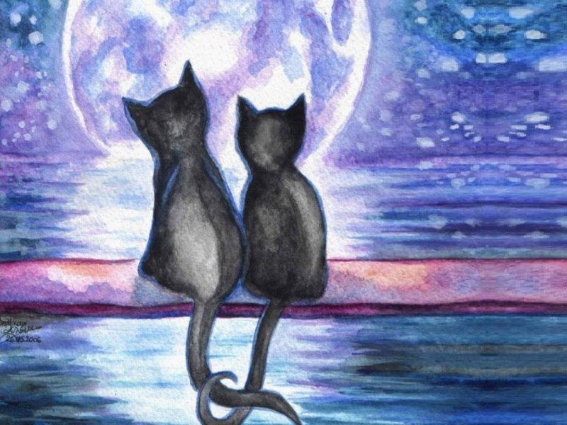 Рисунки котиков