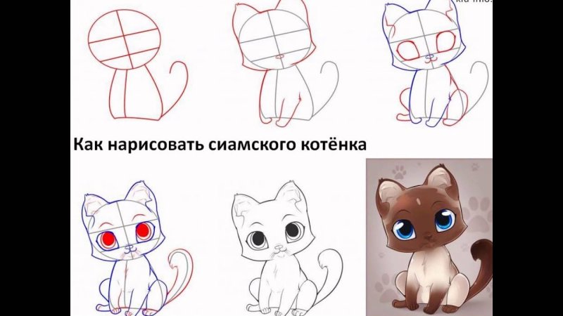 Поэтапное рисование котенка