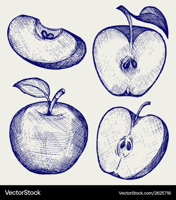 Рисование половиной яблока