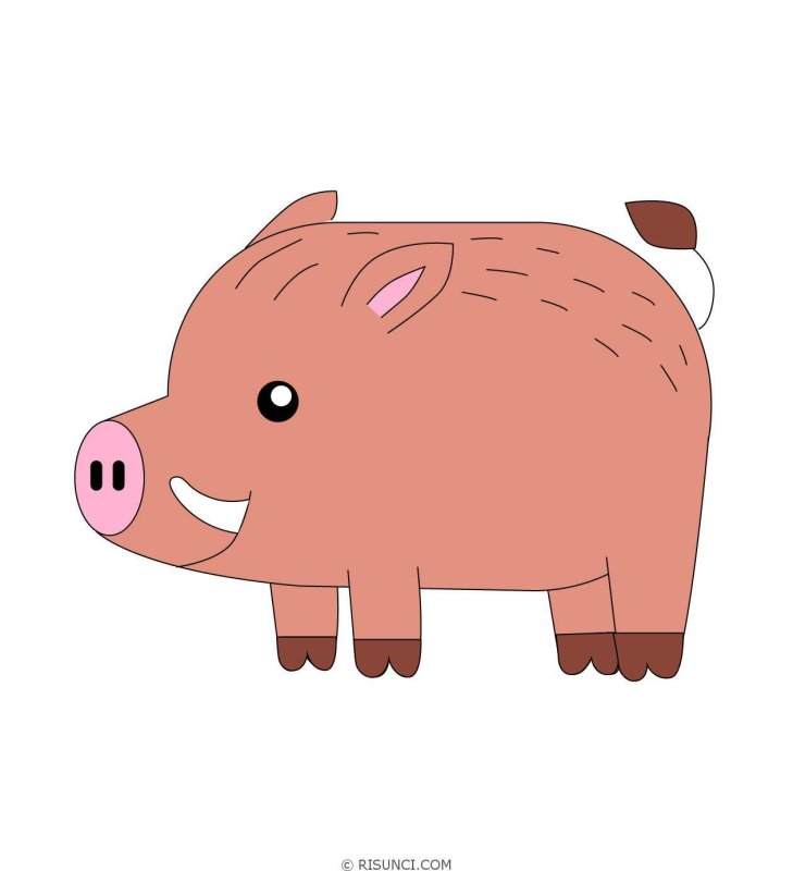 Кабанчик рисунок для детей
