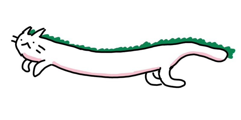 Виверна террария