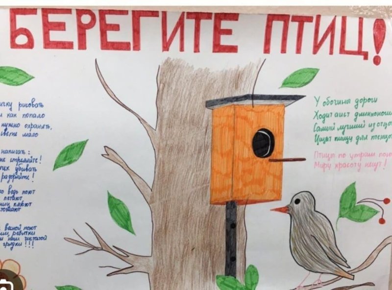 Газета ко Дню птиц