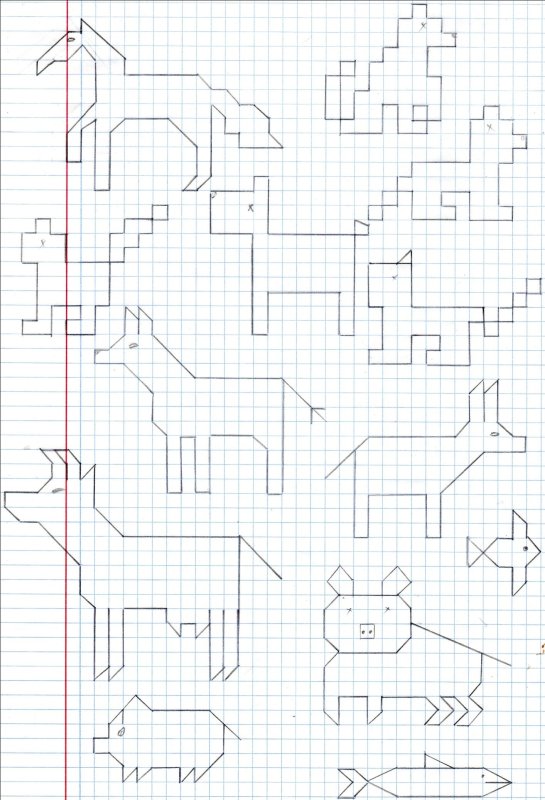 графические рисунки по клеточкам