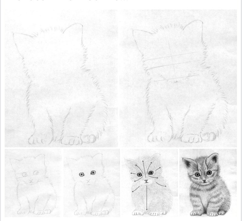 Рисунок кота для срисовки