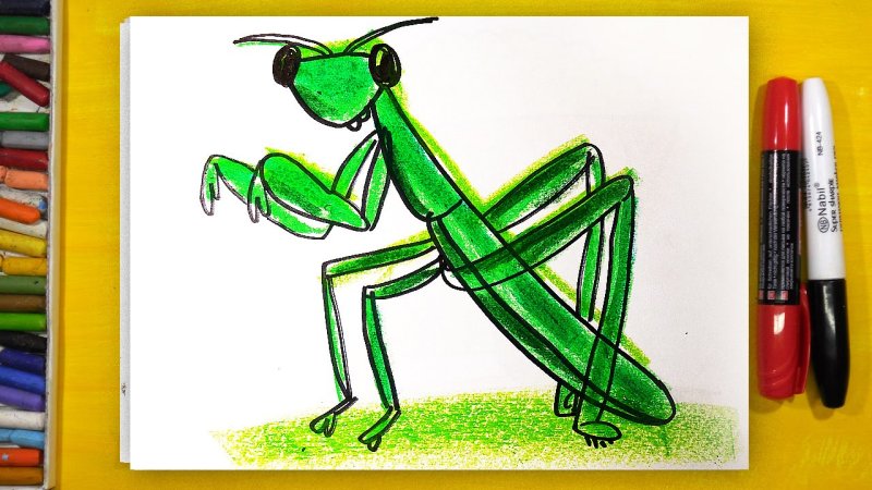 Кузнечик рисунок карандашом