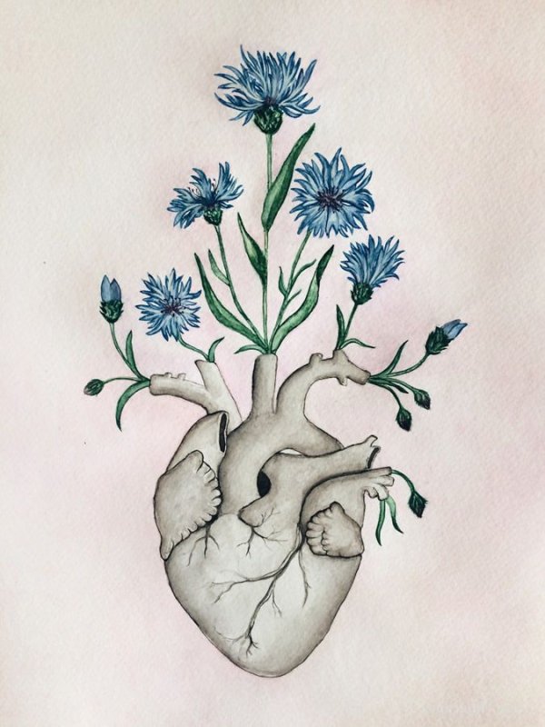 Эстетика рисунки