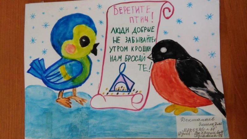 Берегите птиц рисунок