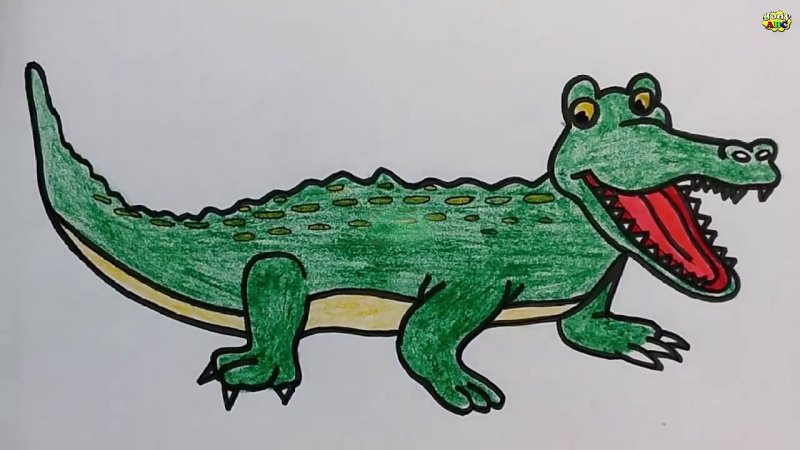 Крокодил рисунок
