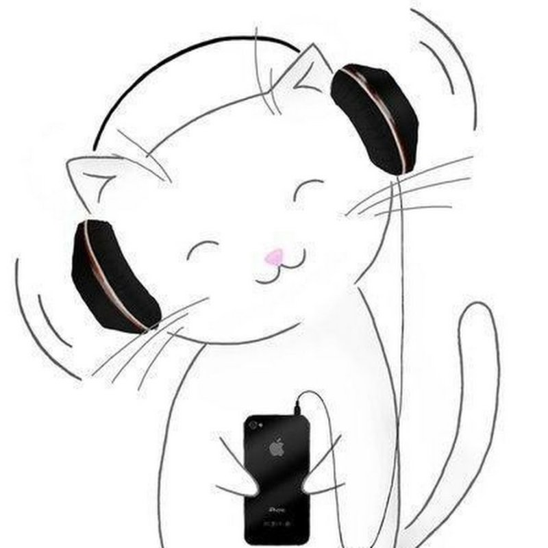 котики с наушниками
