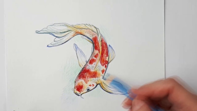 Рыбки акварельными карандашами