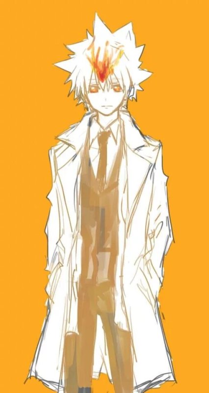 Tyl Sawada Tsunayoshi