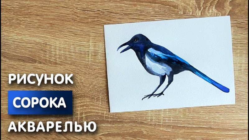 Сорока акварелью