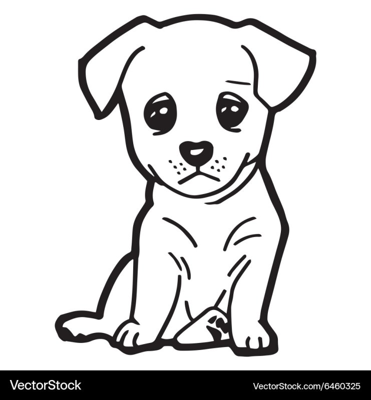 собака раскраска