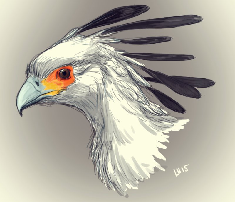Птица секретарь арт