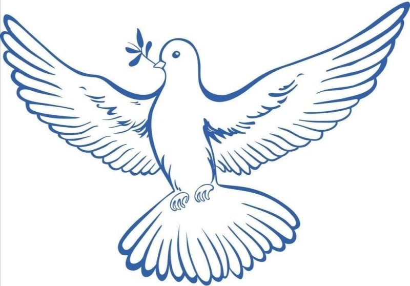 Годабь Мирс