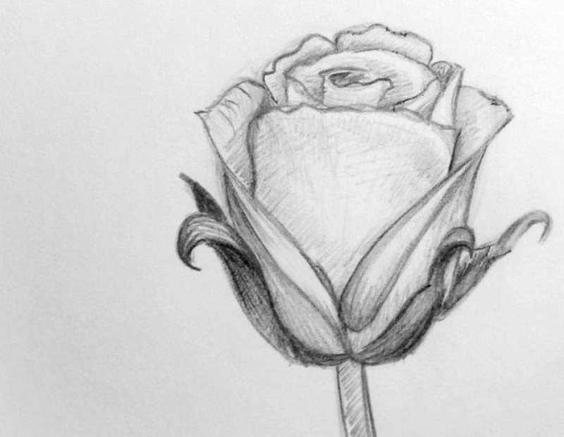 Красивые рисунки карандашом для срисовки