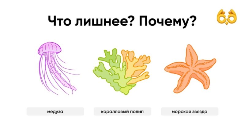 Коралловые полипы рисунок