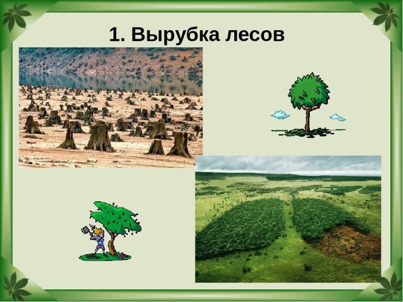Вырубка лесов картинки
