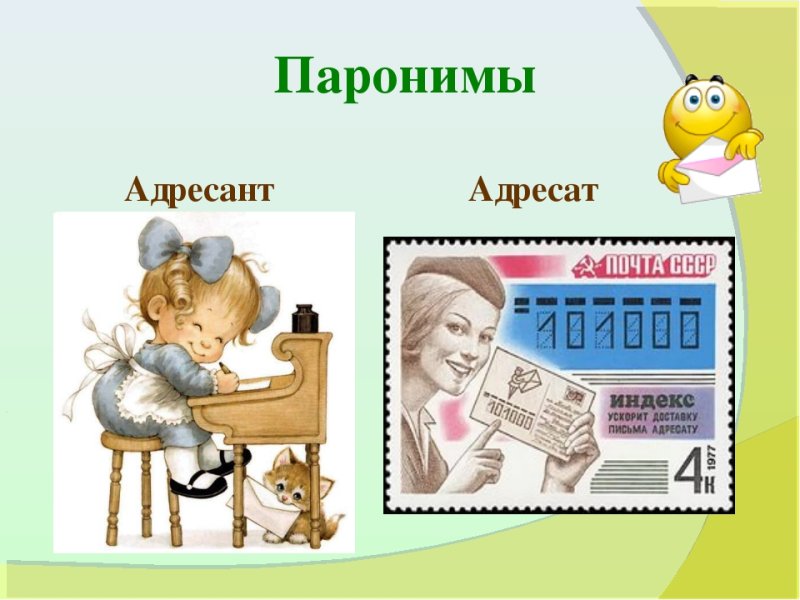 Паронимы примеры с картинками