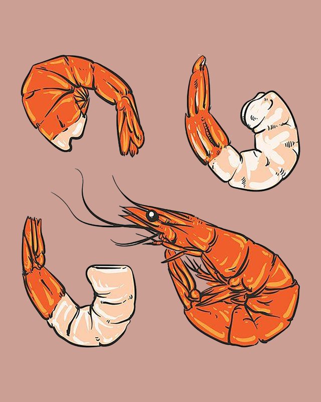 Креветка нарисованная
