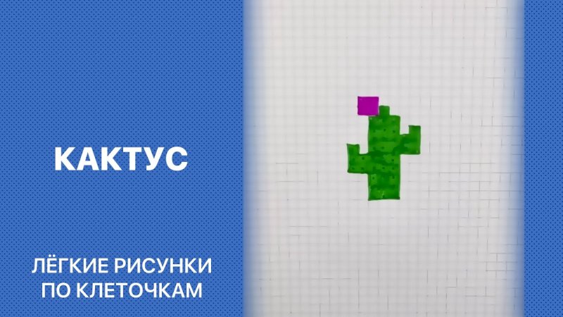 Кактус по клеточкам в тетради