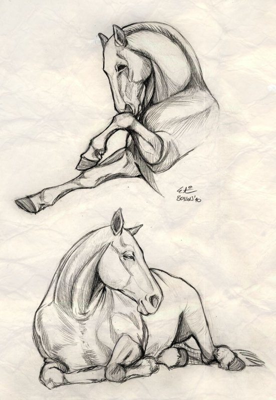 Лошадь рисунок