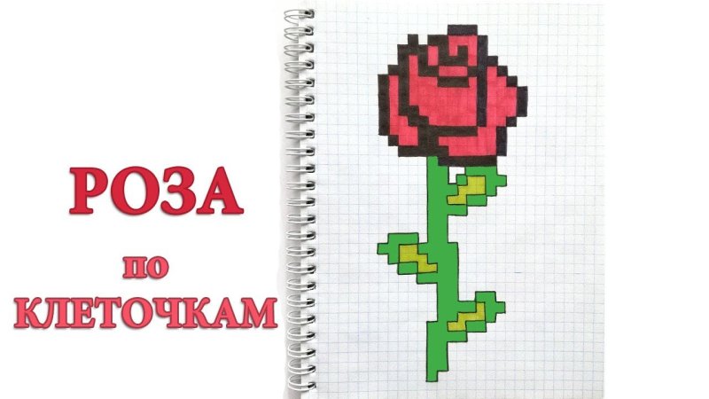 Рисование розы по клеткам