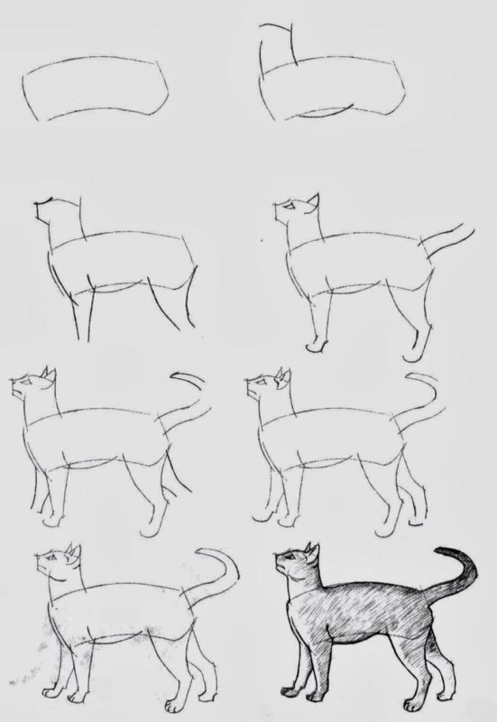 Уроки рисования кошек