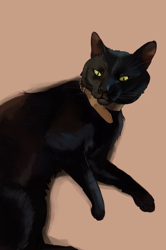 Чёрный кот с жёлтыми глазами арт