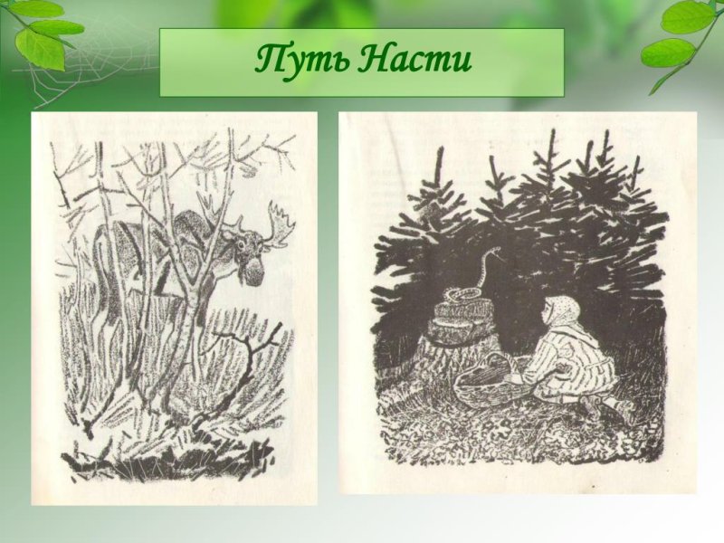 Иллюстрация к сказке Пришвина кладовая солнца